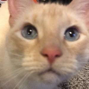 Meet your Posher, Casi